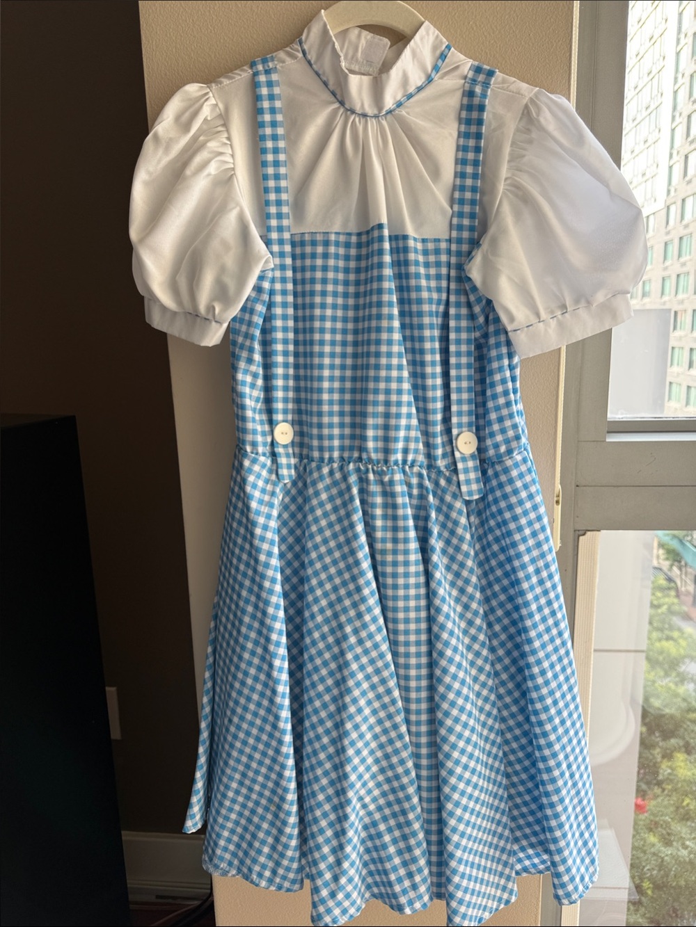 Kids Dorothy/Wizard Of Oz Costume